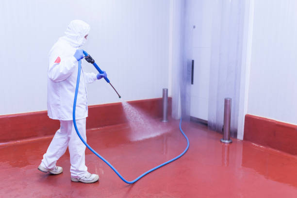 Best Driveway Pressure Washing  in North Vacherie, LA